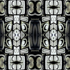 Plastic Shapes And Structure by Silvia Otte