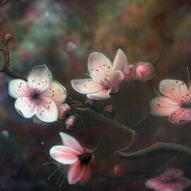 Plum Blossoms