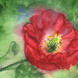 Poppy in Green and Red