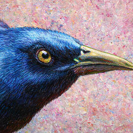Portrait of a Grackle by James W Johnson