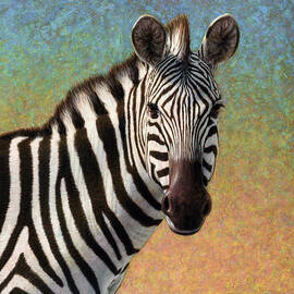 Portrait of a Zebra - Square by James W Johnson