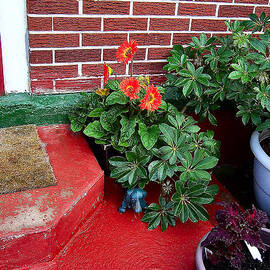 Potted Flowers