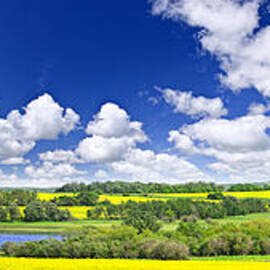 Prairie panorama in Saskatchewan by Elena Elisseeva