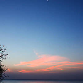 Pre Dawn at Coronado Bay by Bob Hislop