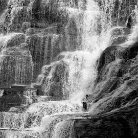 Precarious by MONROE PAYNE