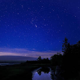 Wetland Starscape by Marty Saccone