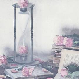 Prisoner Of Time by Delphine Devos