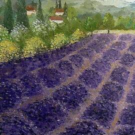 Provence Lavender Fields 