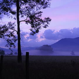 Purple Mountain Majesty by Roe Swartz