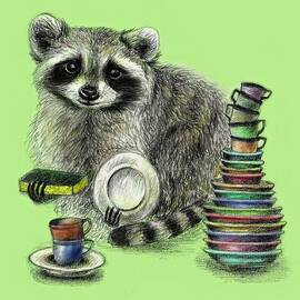 Raccoon by Anna Shell