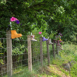 Rainboot Planters in Long ROw by Iris Richardson