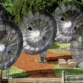 Rapid Prototype Array by Science Photo Library