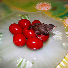 Red Eggs Bird and Flowers by Augusta Stylianou