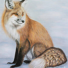 Red Fox by Lena Auxier