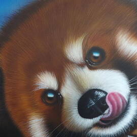 Red Panda by Darren Robinson