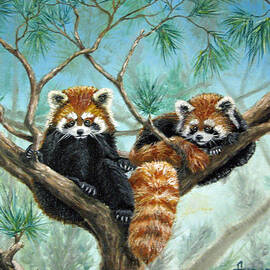 Red Pandas by Beverly Fuqua