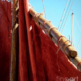 Red Sails by Lainie Wrightson