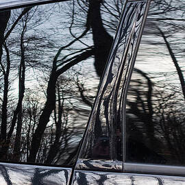 Reflection of trees in black car window by Matthias Hauser