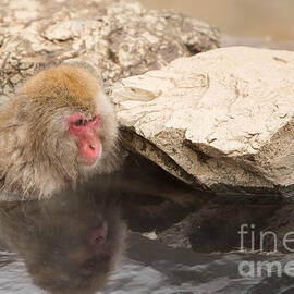 Reflections by Natural Focal Point Photography