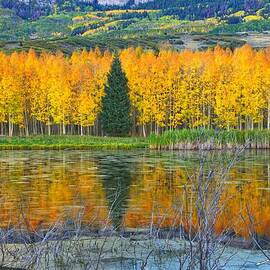 Reflections of Fall by Steve Luther