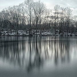 Reflections Of Trees And Snow In A by Elisabeth Pollaert Smith