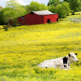 Resting Place by Amy Tyler