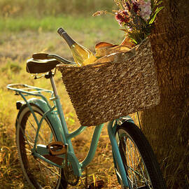 Retro Bicycle With Wine In Picnic by Nightanddayimages