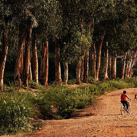 Returning Home by Mary Jo Allen