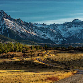 Ridgway, Colorado - Top Of Pines by Panoramic Images
