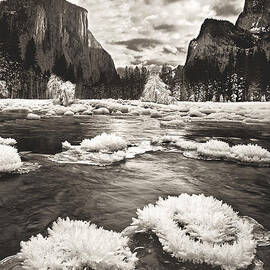 Rime Ice on the Merced in Black and White by Dave Welling