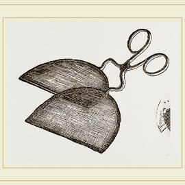 Ring-net And Forceps by Litz Collection