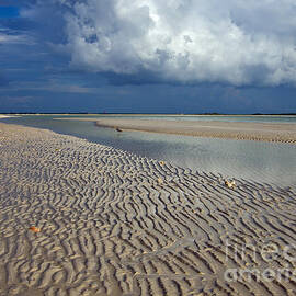 Ripples by Stephen Whalen