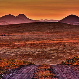 Road To Edna Valley by Beth Sargent