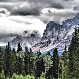 Rocky Mountain Beauty by Janet Ashworth