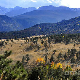 Rocky Mountain Evening