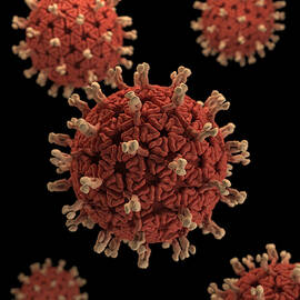 Rotavirus, 3d Model by Science Source