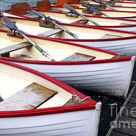 Rowboats by Elena Elisseeva