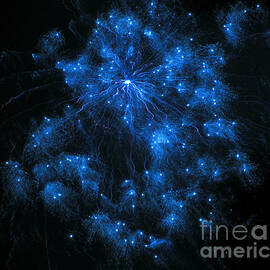 Royal Blue Fireworks by Joseph Baril