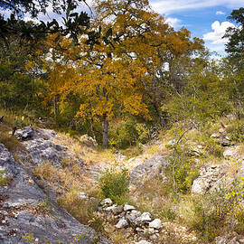 Rugged Texas Hill Country