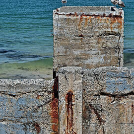 Ruins at Monterey Bay by Susan Wiedmann