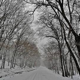 Rural winter road by Beth Dale