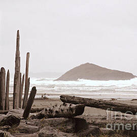 Rustic Formation by Micki Findlay