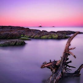Sakonnet Point Lighthouse, Little by Shobeir Ansari