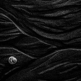 Sand And Shell by Stephen Clough