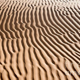 Sand ripples in the Sahara desert by Delphimages Photo Creations