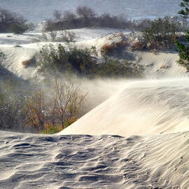 Sand Storm in the Mesquite Dunes 3 by Tomasz Dziubinski