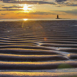 Sandbars by Melissa Fague