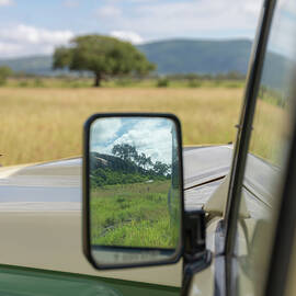 Savannah Reflecting In Mirror Of Safari by Raffi Maghdessian