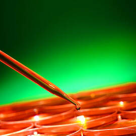 Scientific Experiment in Science Research Lab by Olivier Le Queinec