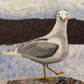 Scottish Seagull by Susan Williams